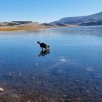 17878396646643900_canal_sur_patagonia