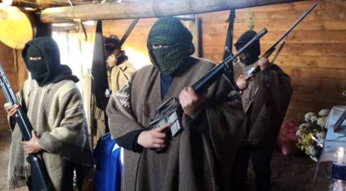 CAM anuncia toma de siete fundos forestales en Angol: se trata de “proceso de recuperación territorial”