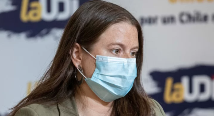 Acusan que exconvencional Constanza Hube repartió documentos con dichos falsos sobre propuesta de NC