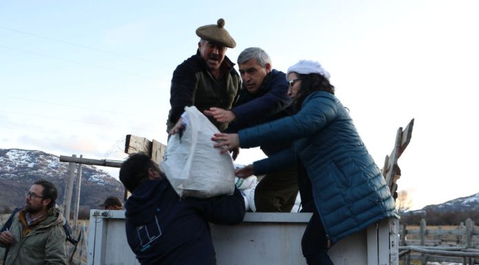 Ministerio de Agricultura entrega 13.500 kilos de alimento concentrado en Aysén