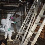 epidemiología (archivo)