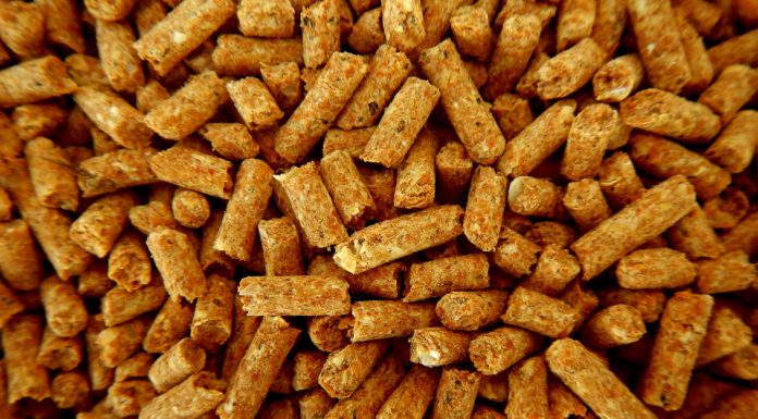 El Biobío mira con esperanza la llegada de nueva planta productora ante escasez de pellet