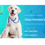 vetcoy 2