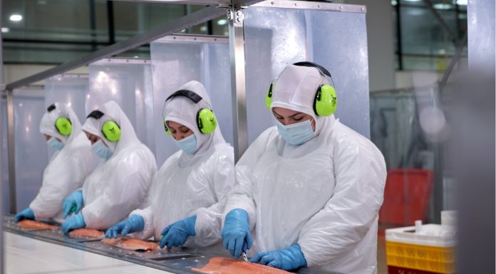 La tasa de desocupación en la Región de Aysén fue 2,9% en el trimestre octubre – diciembre de 2025