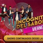 Cartelera COY-23,5X5