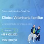 Vetcoy