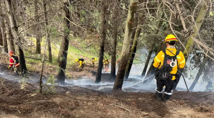 Con apoyo aéreo Carabineros refuerza patrullajes para prevenir incendios forestales