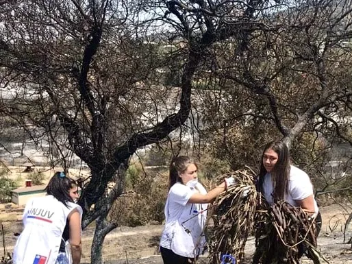 Chile se prepara: Seremi de Desarrollo Social y Familia, INJUV y SENAPRED invitan a la comunidad a participar de cursos gratuitos y certificados en Formación de Voluntariado de Emergencia
