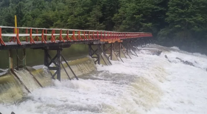 Edelaysen anuncia paralización programada de la Central Hidráulica de Puerto Aysén para trabajos de mantención