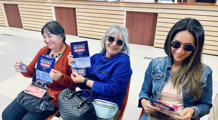 Fono Denuncia Seguro de la Subsecretaría de Prevención del Delito aumentó en un 41,9% su uso en la región de Aysén