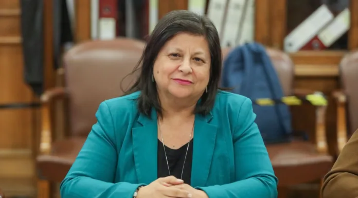 Diputada Raphael: “La clase media es la más perjudicada con esta Reforma de Pensiones”