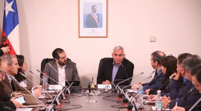 Corfo Sumará Seis Nuevos Comités de Desarrollo Productivo Regional el 2024