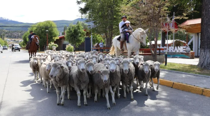 Día de la Ovejería 2024 fue un éxito total en Cochrane