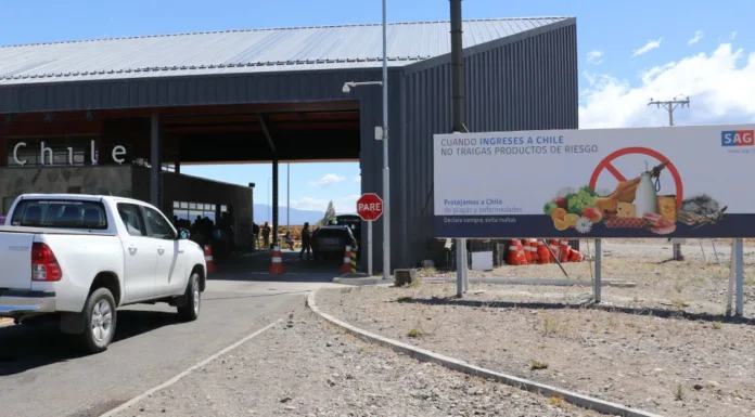 SAG recuerda requisitos para viajar con mascotas