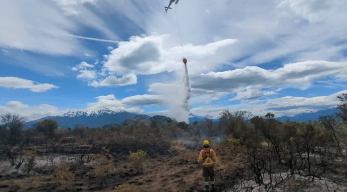 Incendio Forestal de sector El Maitén (Mallín Grande) es controlado tras dos días de combate