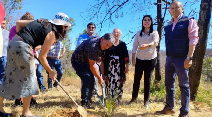 Fondo para la Reconstrucción: Comenzó recuperación de la sede Junta de Vecinos y Taller Las Tejedoras en Los Castaños en Nacimiento
