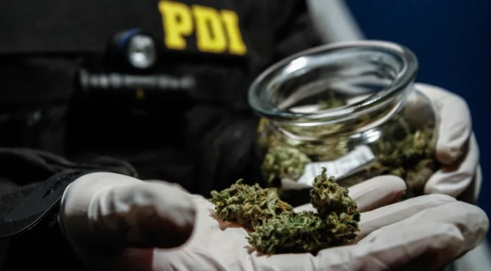 DETENIDO POR MICROTRÁFICO: OFRECÍA SU MERCANCÍA ILÍCITA POR REDES SOCIALES