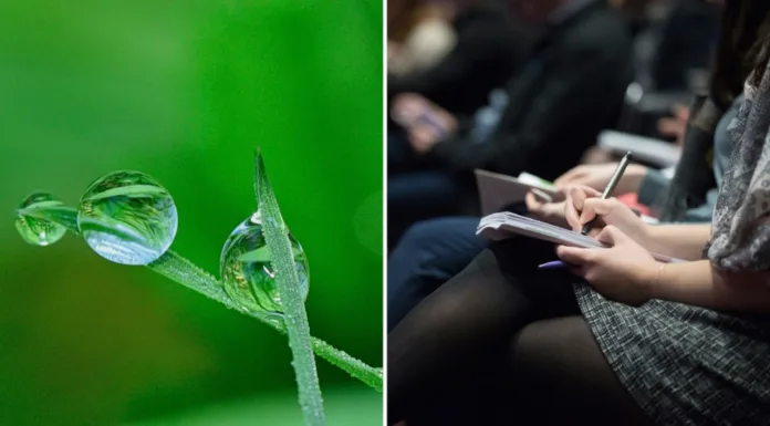 Continúa abierta convocatoria de Corfo para potenciar la sostenibilidad en el ecosistema emprendedor a través del programa Viraliza Formación