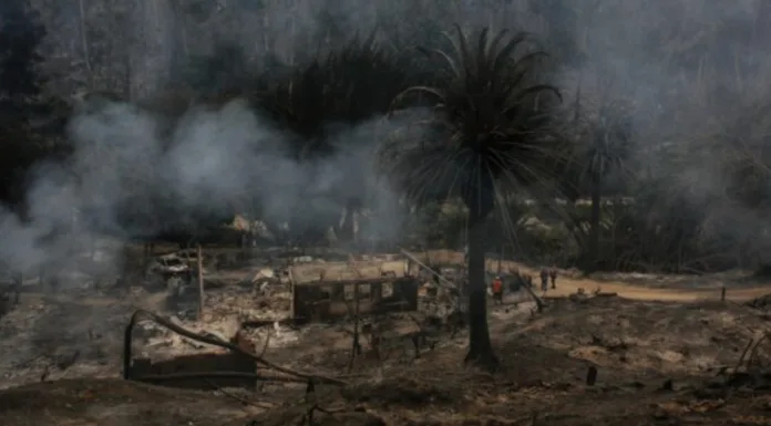 Dos detenidos en Viña del Mar por ser sospechosos de iniciar focos de incendio