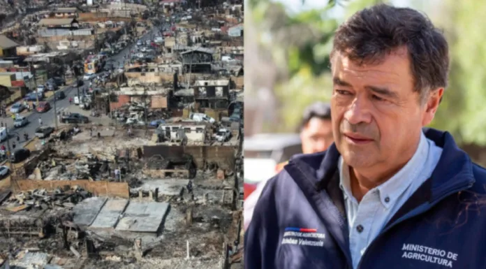 Ministro Valenzuela insiste que hay “clara organización criminal” en incendios en región de Valparaíso