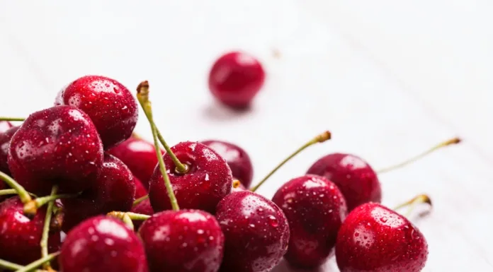 Estudio de ProChile: Cerezas chilenas logran récord de envíos durante enero de 2024, con montos por US$1.555 millones