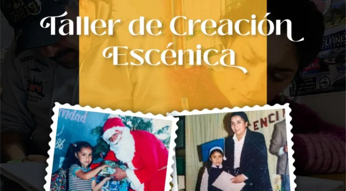 Realizan primer Taller de Creación Escénica en Puerto Cisnes