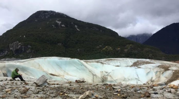 Nodo Laboratorios Naturales Subantárticos comienza una nueva etapa impulsando la investigación científica territorial