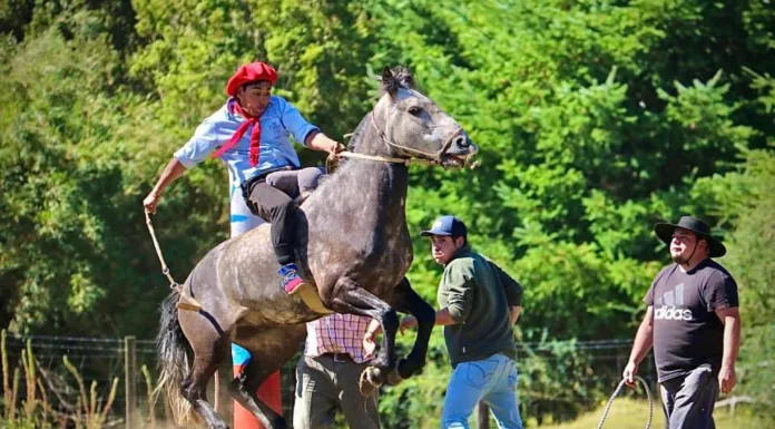 VIVE EL VERANO EN CISNES: UN FEBRERO LLENO DE TRADICIÓN Y ENTRETENIMIENTO PARA TODA LA FAMILIA