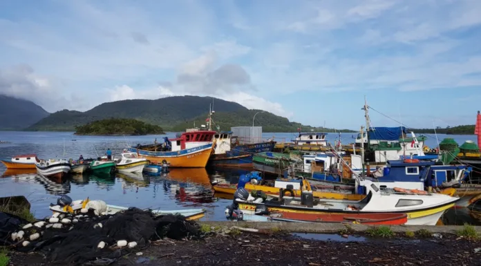 ECMPOs: La lucha por proteger los recursos marinos para proveer el sustento de los pescadores artesanales de Aysén