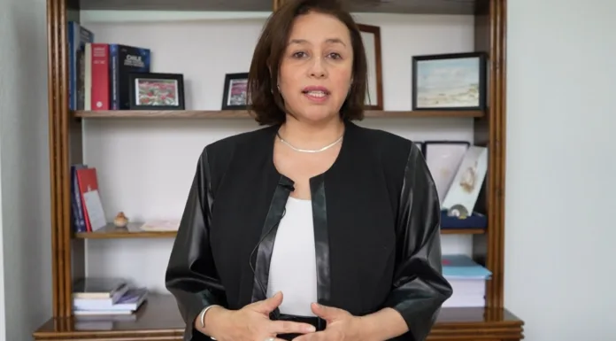 Senadora Órdenes destacó los avances legislativos de 15 leyes en derechos de las mujeres desde que inició su mandato