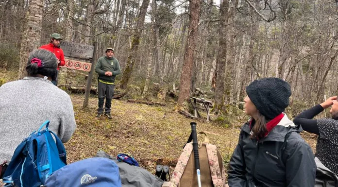 Más de 4 mil turistas visitaron el Bien Nacional Protegido “Parque Glaciar Mosco” de Villa O´Higgins durante 2023