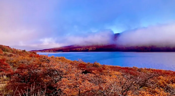 CONAF INFORMA REAPERTURA DE RESERVA LAGO CARLOTA