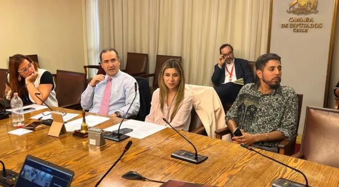 NUEVA LEY DE PESCA: IDEA DE LEGISLAR ES APROBADA POR UNANIMIDAD EN COMISIÓN DE LA CÁMARA