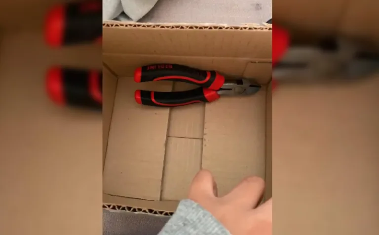 COMPRÓ CELULAR Y LLEGÓ UN ALICATE: SERNAC OFICIA A PARIS TRAS RECLAMO DE CONSUMIDORA