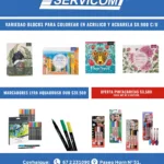 servicom junio 2025