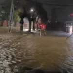 18040705118309185_canal_sur_patagonia