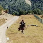 18164567383356285_canal_sur_patagonia