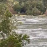 17935763322046705_canal_sur_patagonia