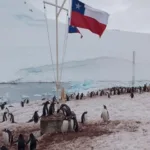 18164292121320202_canal_sur_patagonia