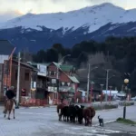 18346628521089119_canal_sur_patagonia