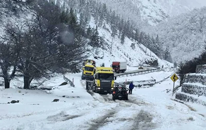 VIALIDAD ABORDA EMERGENCIAS VIALES DURANTE EL FIN DE SEMANA