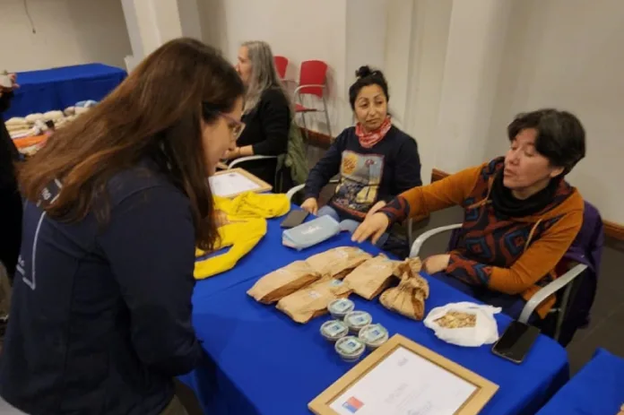 FOSIS invita a emprendedoras regionales a postular programa de capacitaciones gratuitas