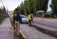 Operación Fortaleza III: Seguridad Pública, Carabineros y PDI dan cuenta de resultados de ronda masiva en la Región de Aysén