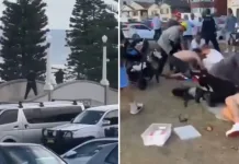 Al menos 10 muertos tras tiroteo durante fiesta judía en famosa playa de Sidney Australia