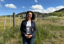 SUBSIDIO DE CALEFACCIÓN ES REASIGNADO A 1342 NUEVOS HOGARES EN LA REGIÓN DE AYSÉN