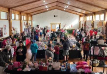 Con variados emprendimientos locales, Seremi de la Mujer realiza Feria Mujer Emprendedora 2025 en Puerto Aysén