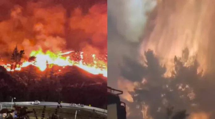 FOTOS + VIDEOS. Las impactantes imágenes de los incendios forestales en Biobío y Ñuble que tienen en alerta a las autoridades