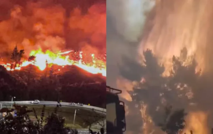 FOTOS + VIDEOS. Las impactantes imágenes de los incendios forestales en Biobío y Ñuble que tienen en alerta a las autoridades