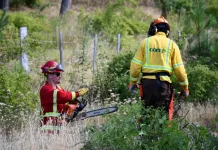 CONAF Y ORGANISMOS PÚBLICOS REFUERZAN ACCIONES PREVENTIVAS CONTRA INCENDIOS FORESTALES EN SECTOR EL HÚNGARO DE COCHRANE