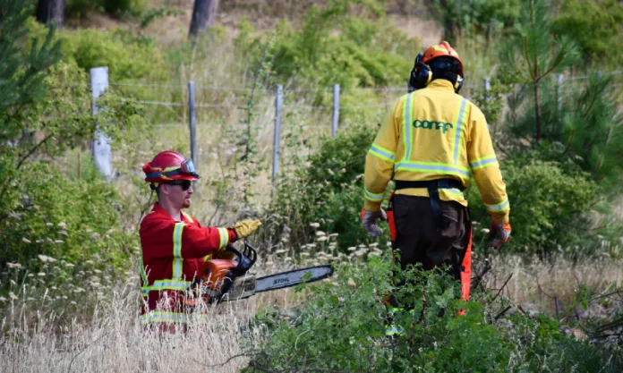 CONAF Y ORGANISMOS PÚBLICOS REFUERZAN ACCIONES PREVENTIVAS CONTRA INCENDIOS FORESTALES EN SECTOR EL HÚNGARO DE COCHRANE